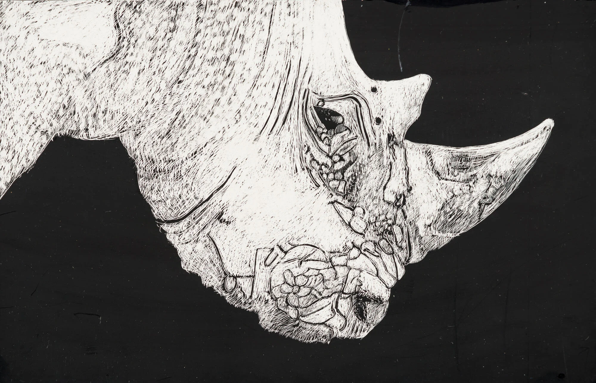 renoster installation<p font-weight="200">2013 - 2017<br>scraperboard</p>