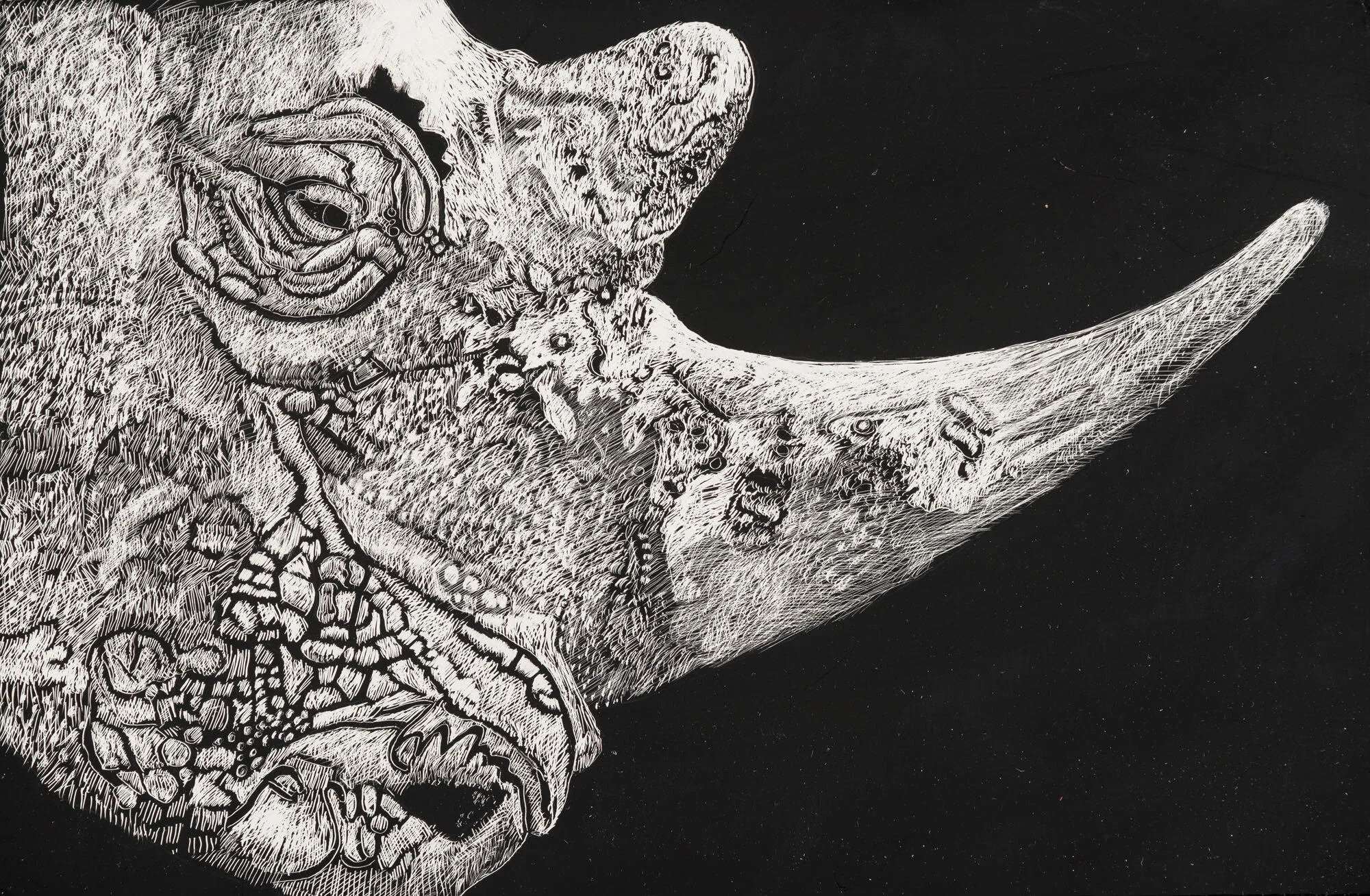 renoster installation<p font-weight="200">2013 - 2017<br>scraperboard</p>