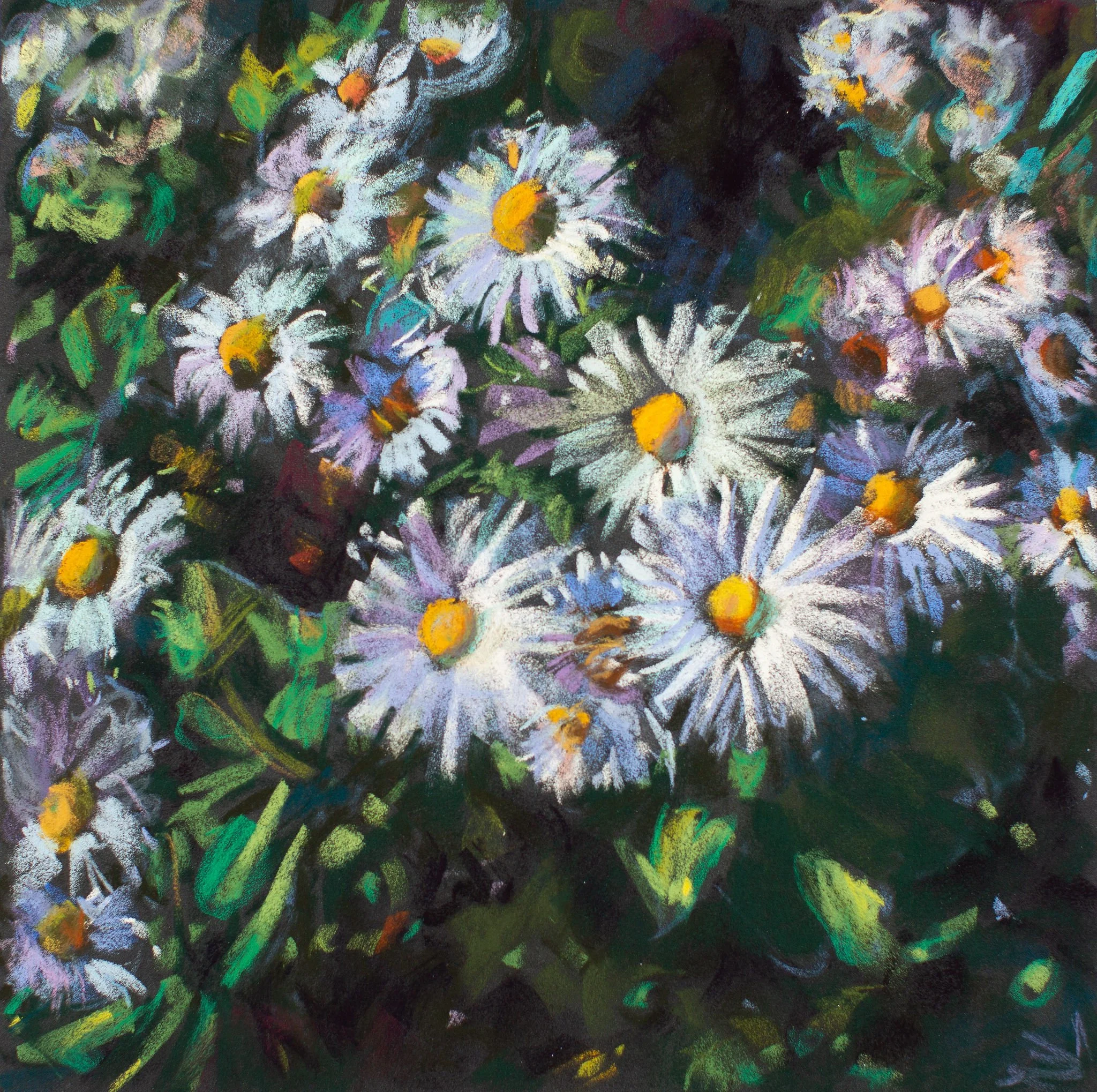 Crazy for Daisies!