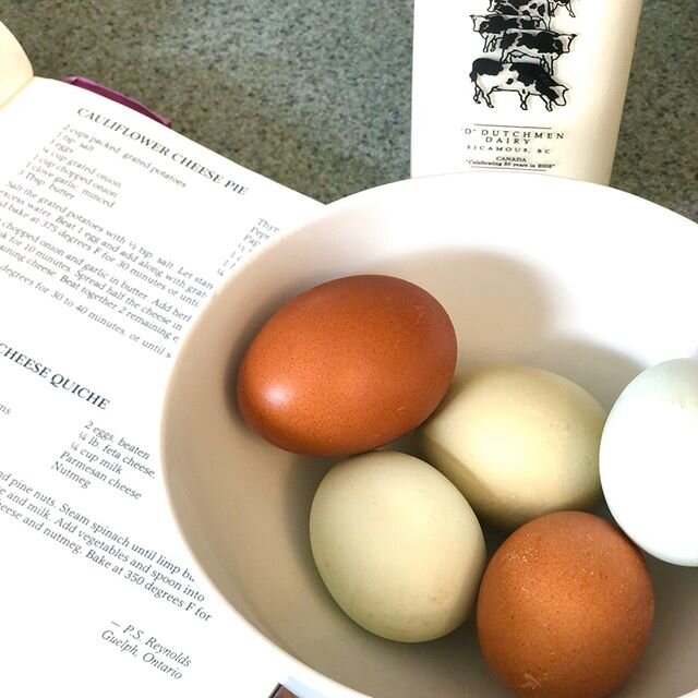 We're interrupting regular programming to bring you the simple beauty of farm-fresh eggs. I ducked away from my desk a bit early today to make quiche for dinner 😋and had to snap this pic that captures the lovely colours of nature.