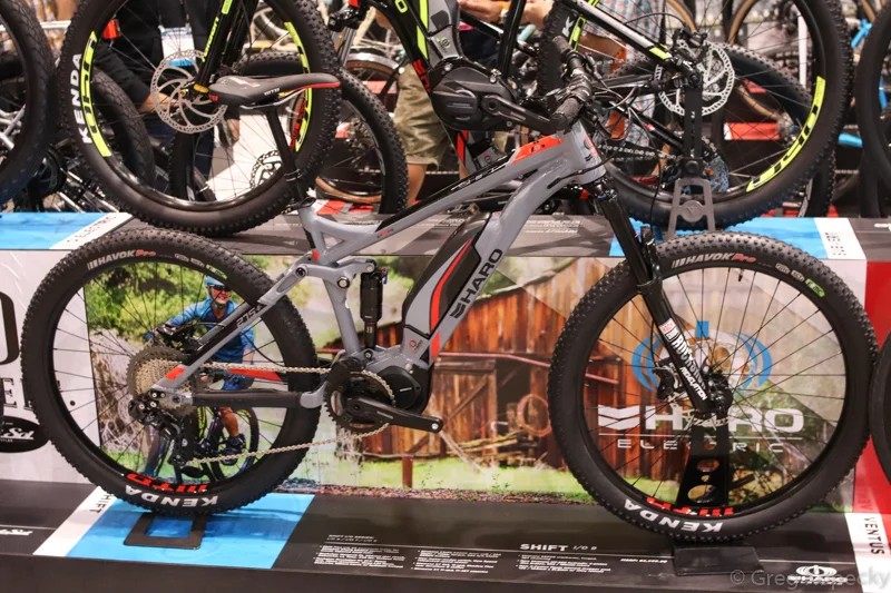 E-bikes were all over the place.