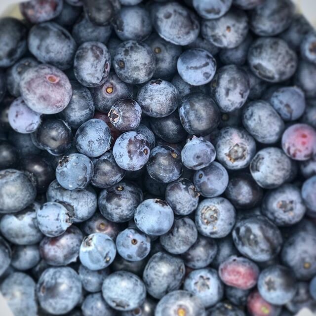 #blueberries #quaranberries