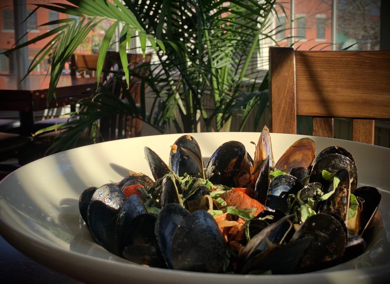 New Mussels 2020.jpg