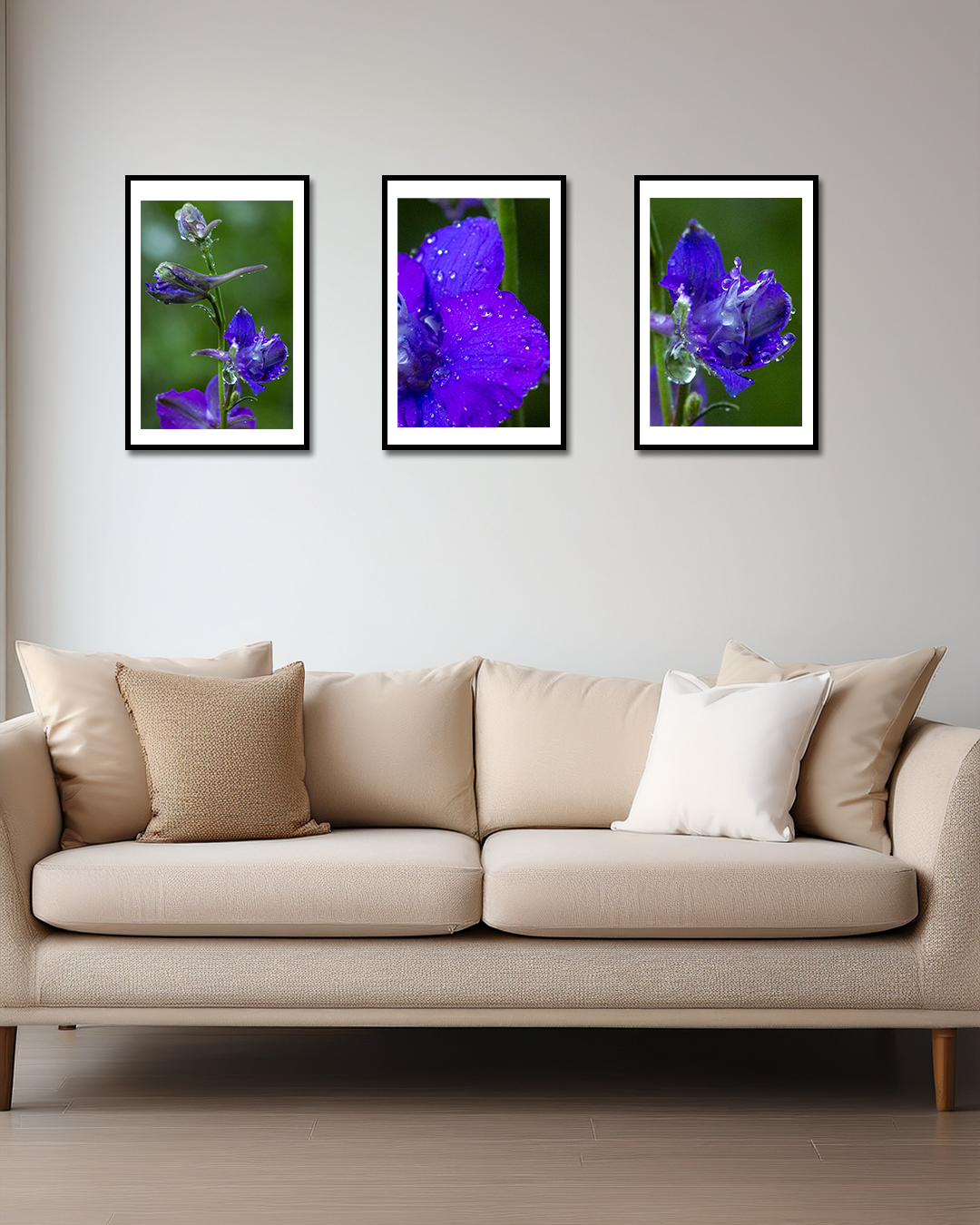 Purple Series in room.png