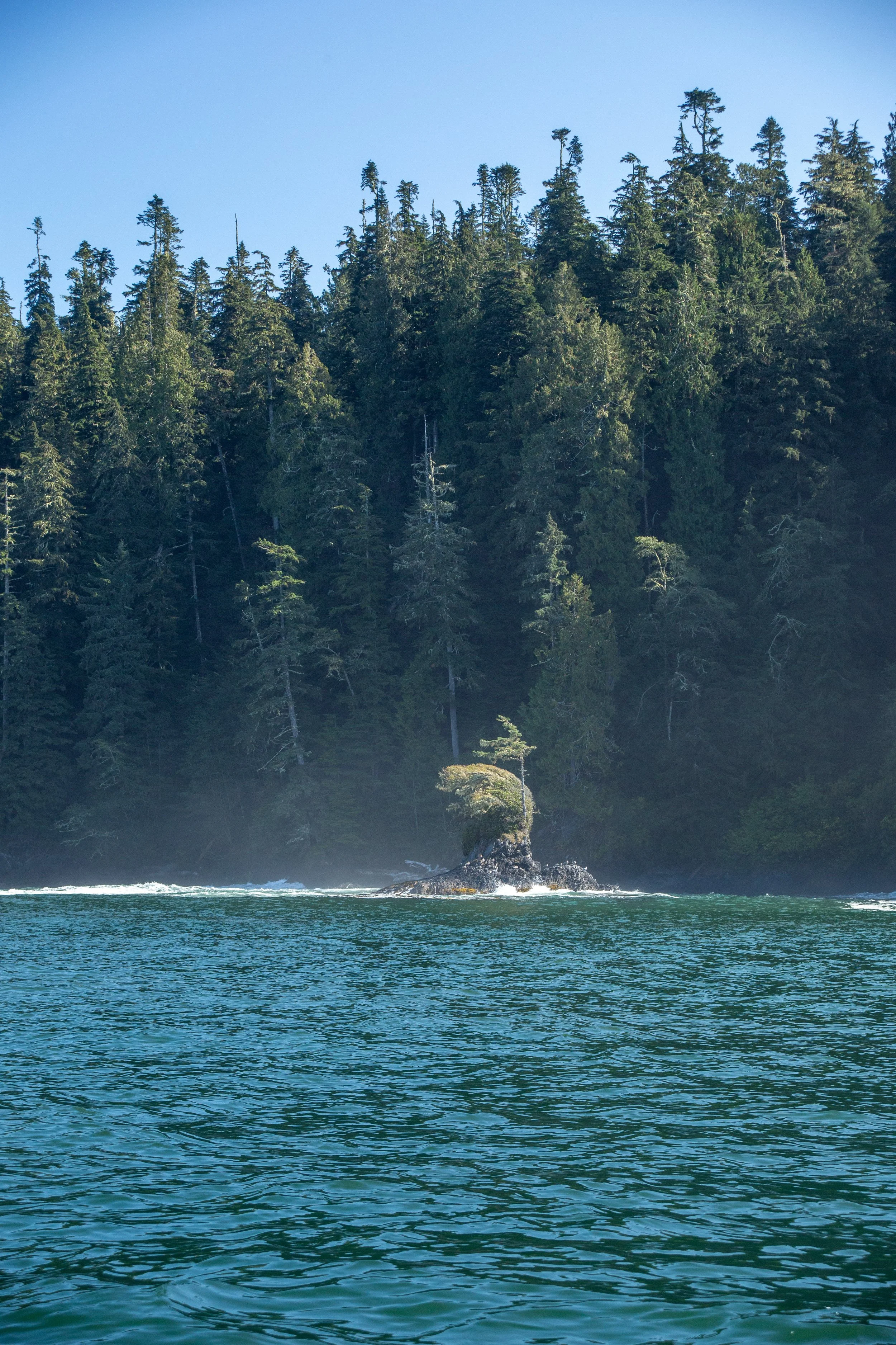 EMMAFENSKEPHOTOGRAPHY WestCoastRock.jpg