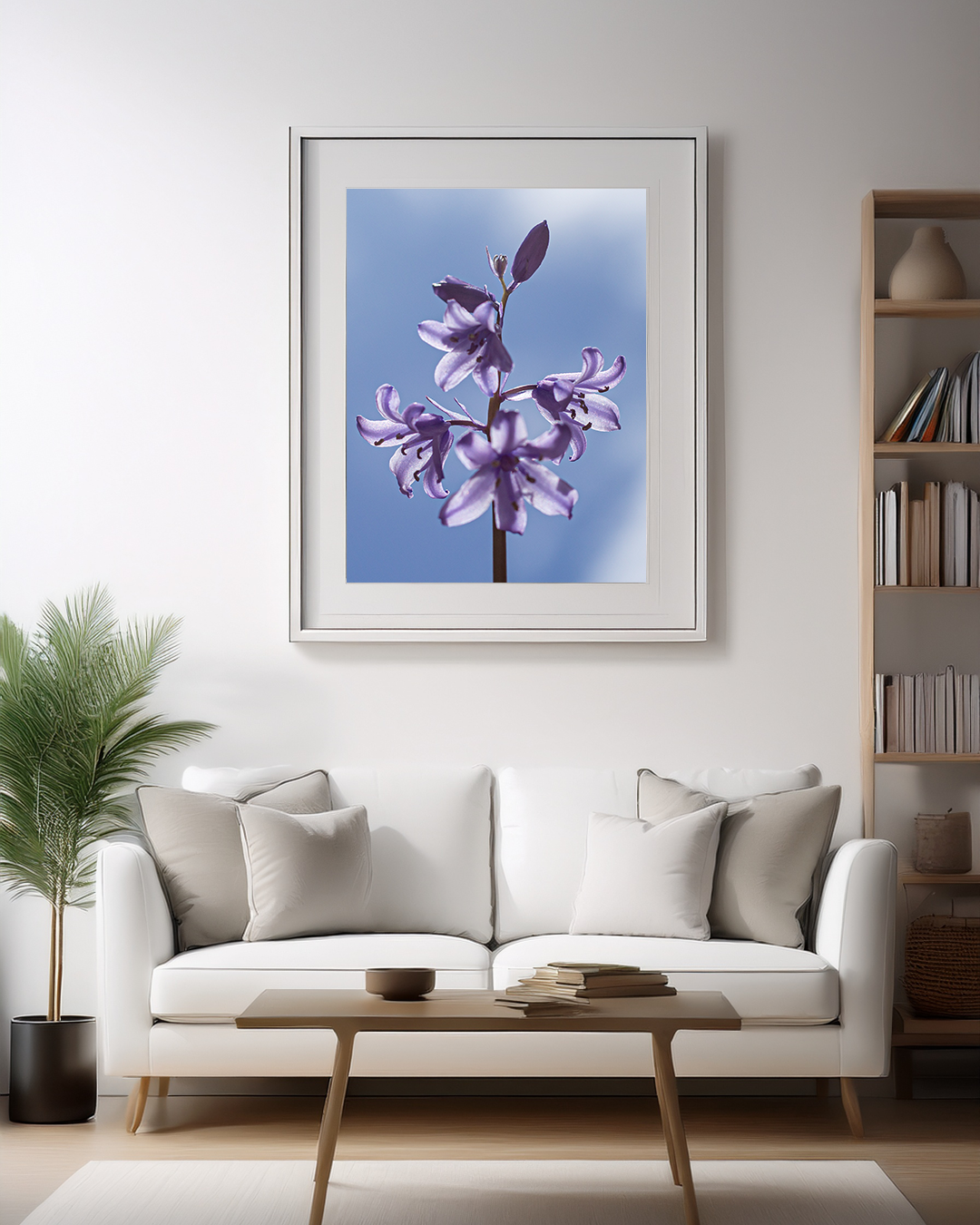 Bluebell in room.png