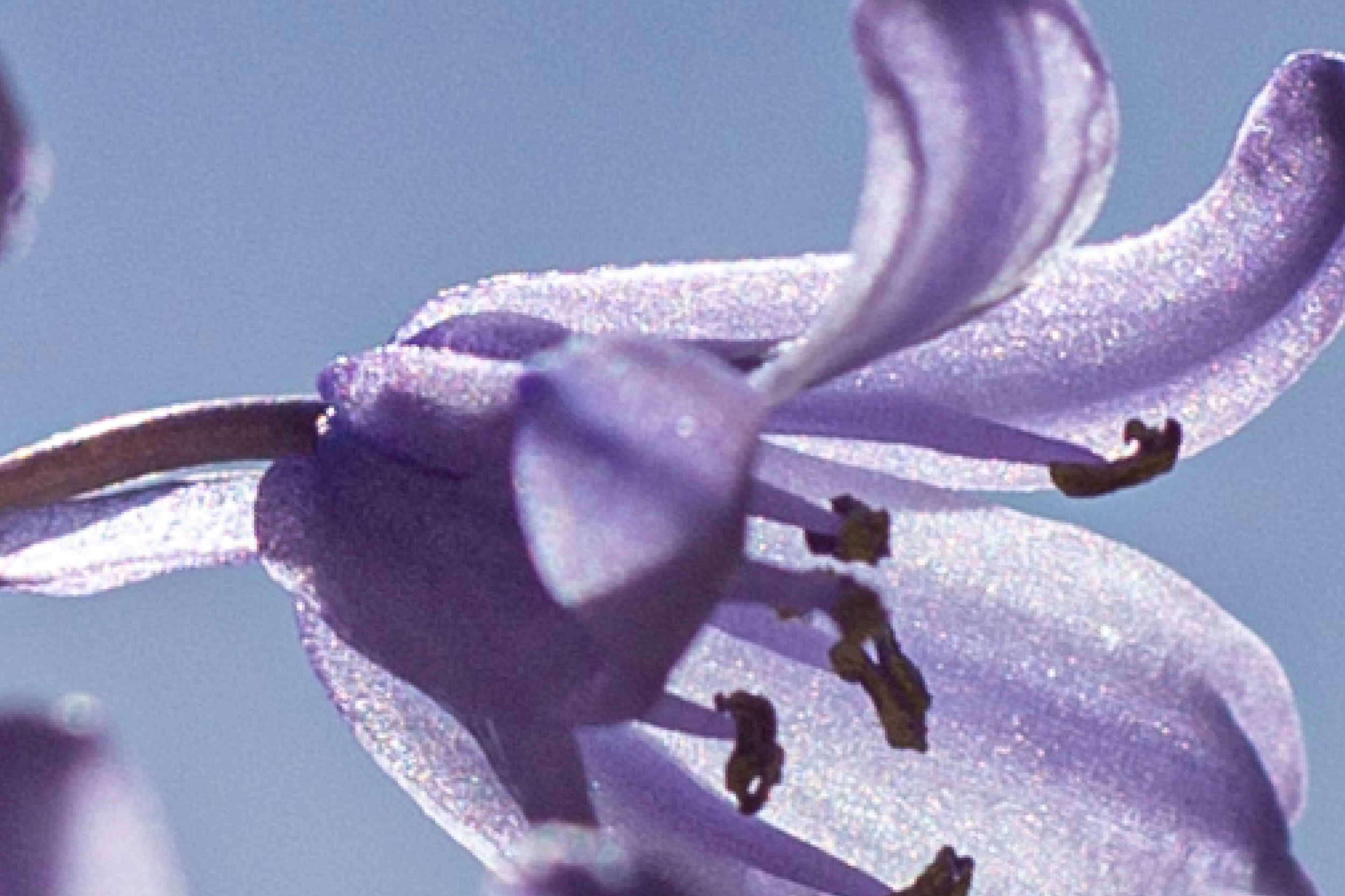 Screenshot 2025-11-13 at 2.21.07 PM.png