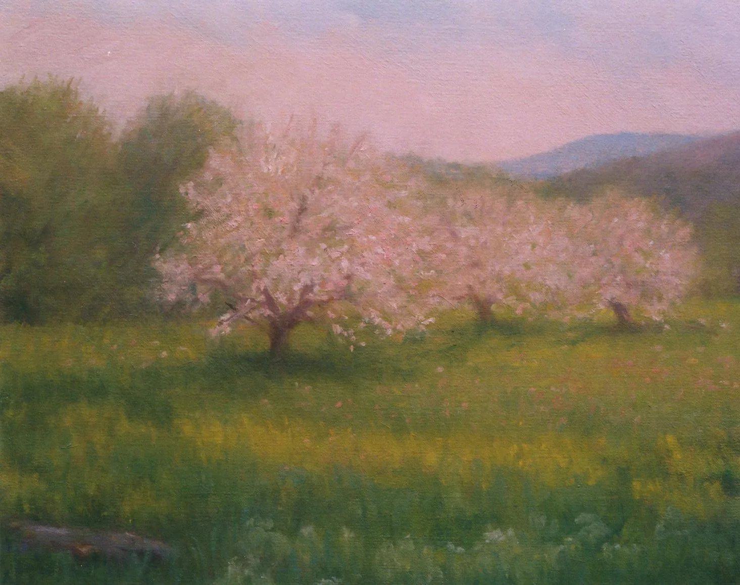 apple_blossom_time.jpg
