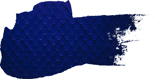 SavvyBranding-Button3.png