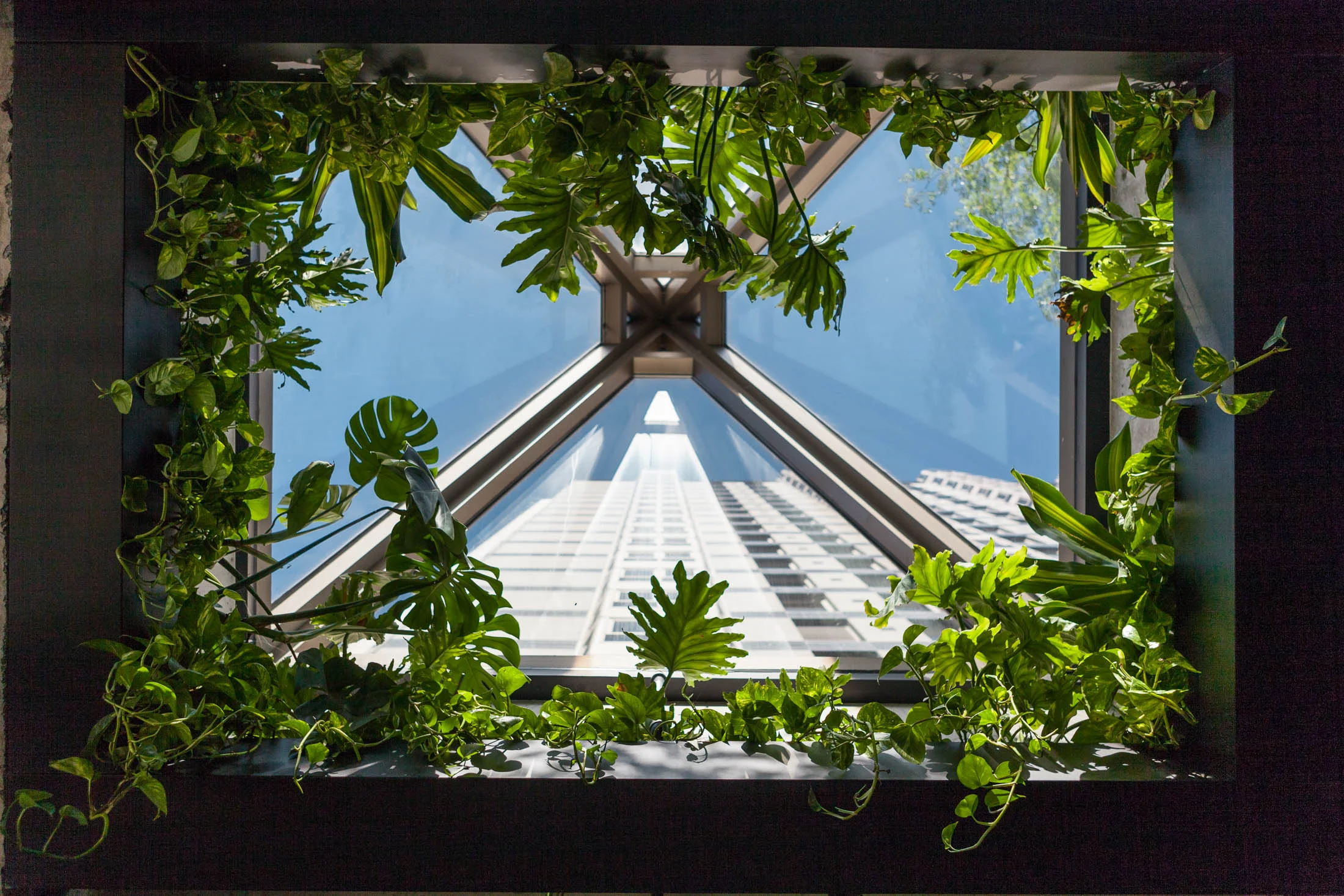 Screenshot from 2024-05-28 15-49-25.png