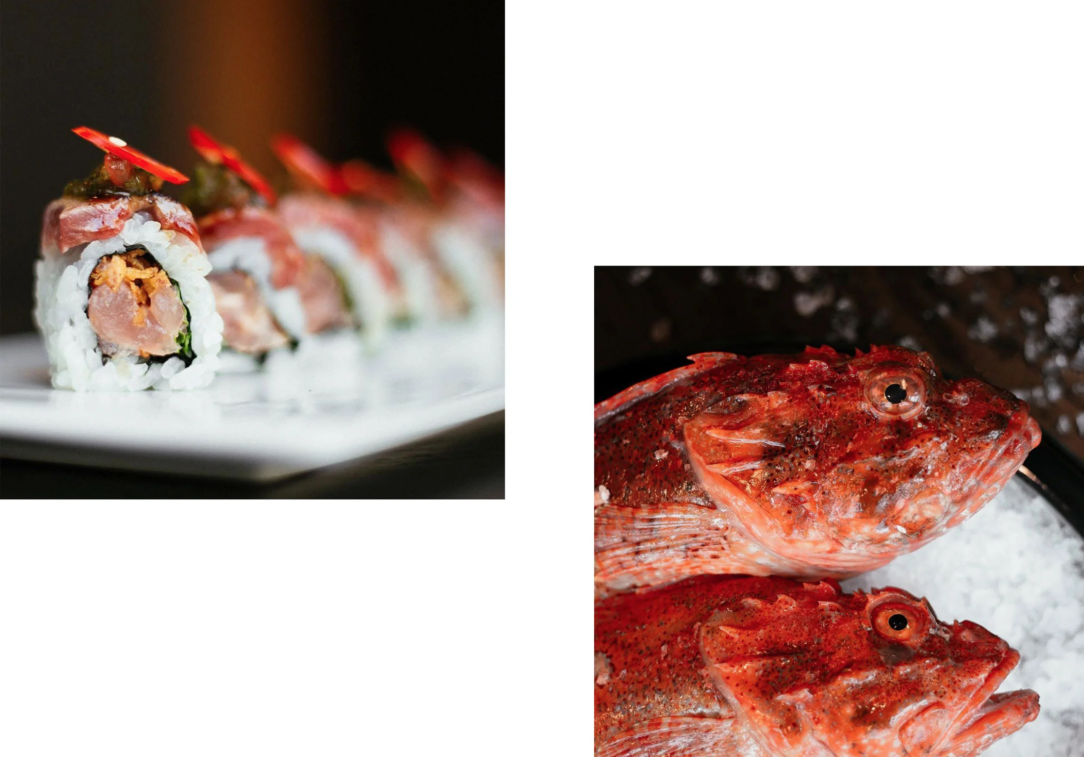 RYU-FOOD-001.jpg