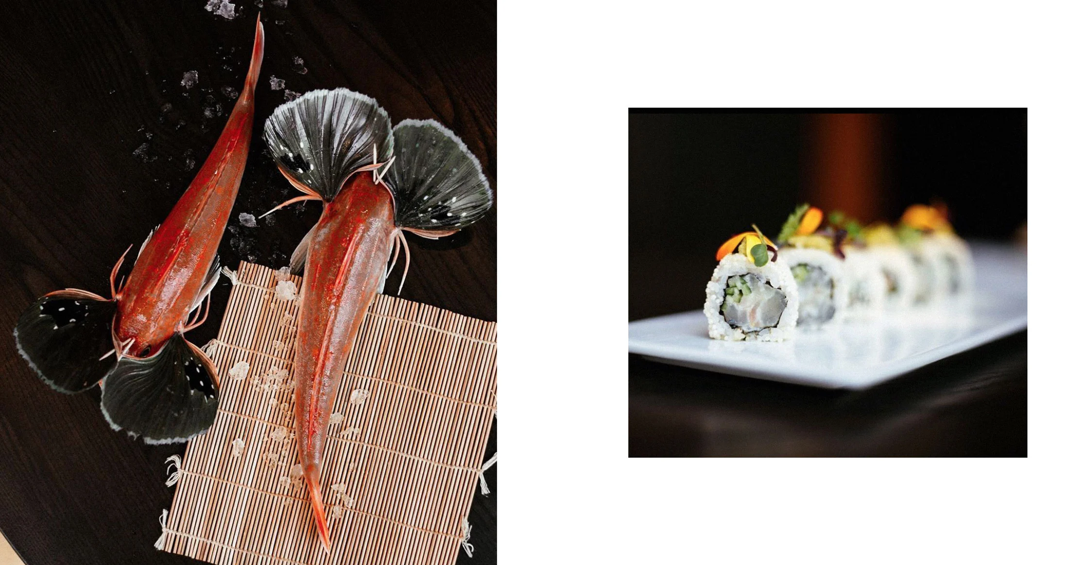 RYU-FOOD-004.jpg