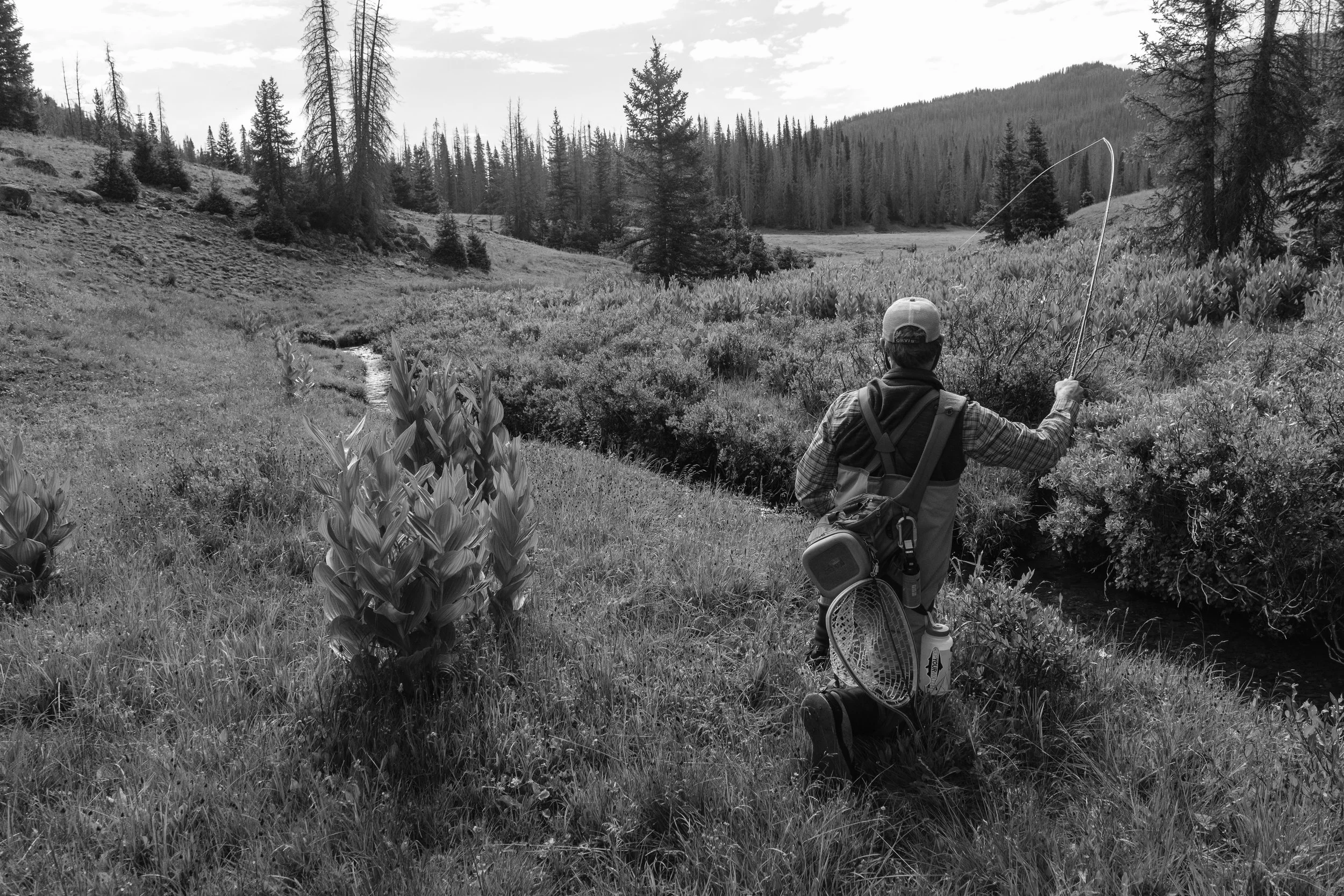 Fly Fishing (click to view)
