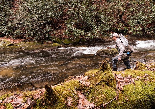Adam White tightlining a small North Georgia stream, surrounded by rhododendron and moss-covered trees.
.
.
Fujifilm XT3 | XF 16-55 mm.
.
.
#flyfishing #keepemwet #morethanthefish #catchandrelease #flyfish #seewhatsoutthere #flyfishingphotography #th