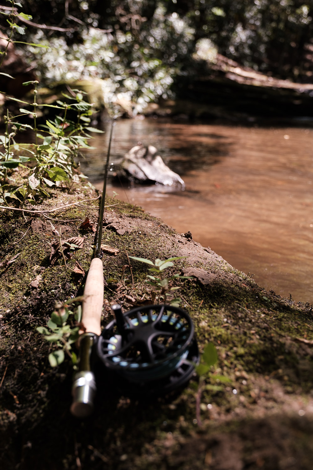 Gear Review - Using the ECHO DRY 9' 2wt as a European Nymphing Rod