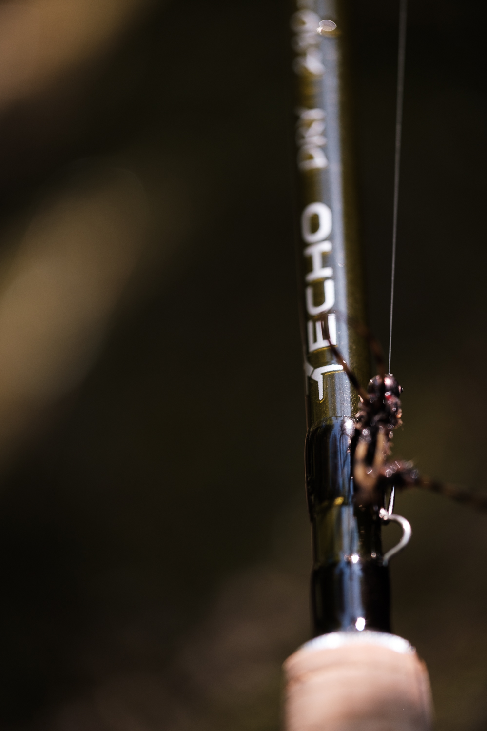 Gear Review - Using the ECHO DRY 9' 2wt as a European Nymphing Rod