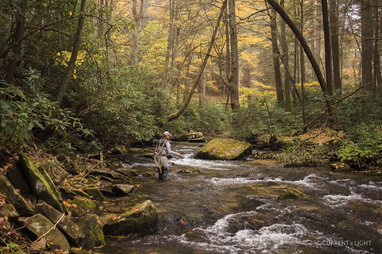 Eastern Fly Fishing Cover, Nov/Dec 2019