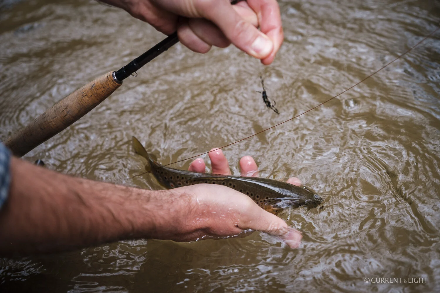 20.1.24_C&L - Fish-51.jpg