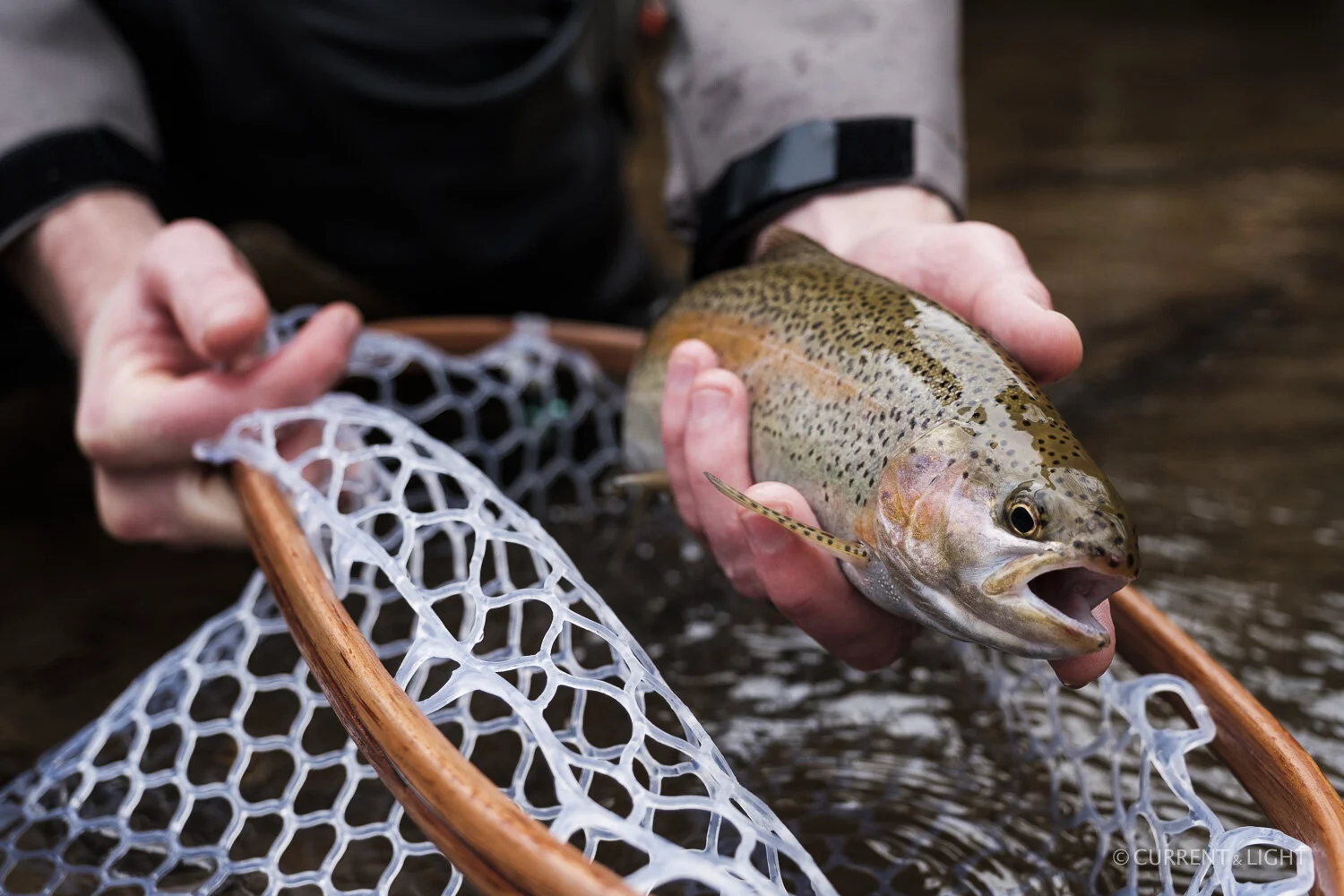 20.1.24_C&L - Fish-70.jpg