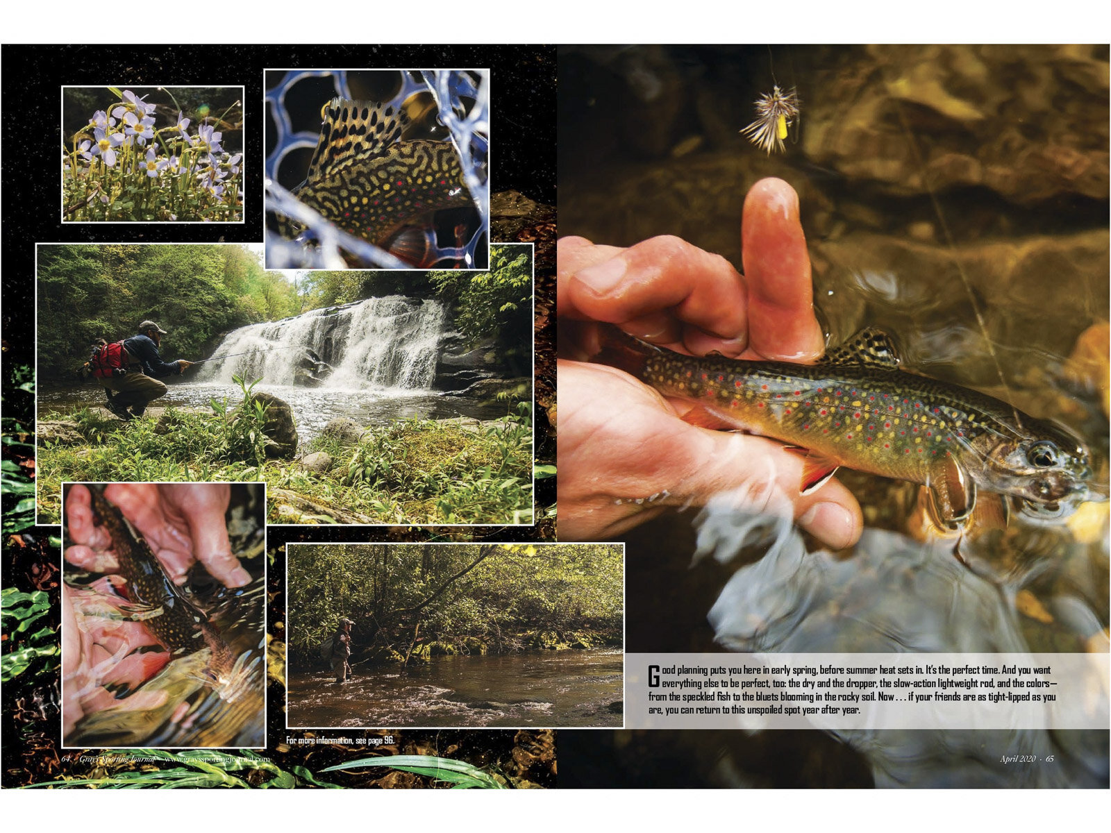Gray's Sporting Journal - Fly Fishing Issue 2020 