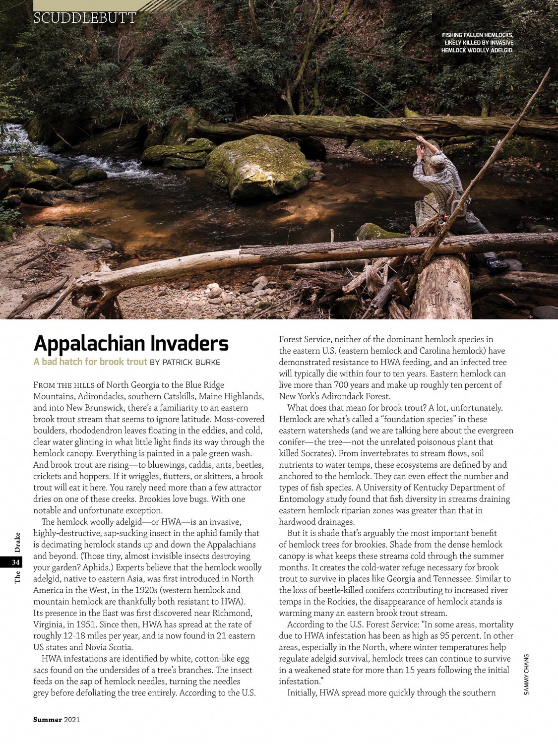 The Drake, Summer 2021 - Appalachian Invaders