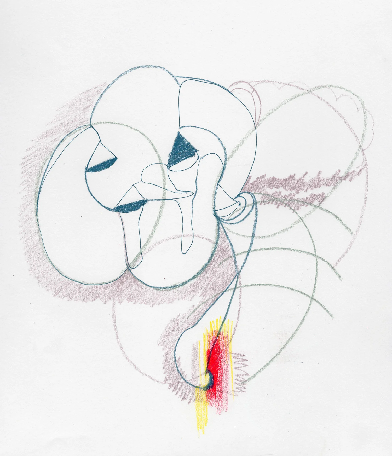 ShapesShape