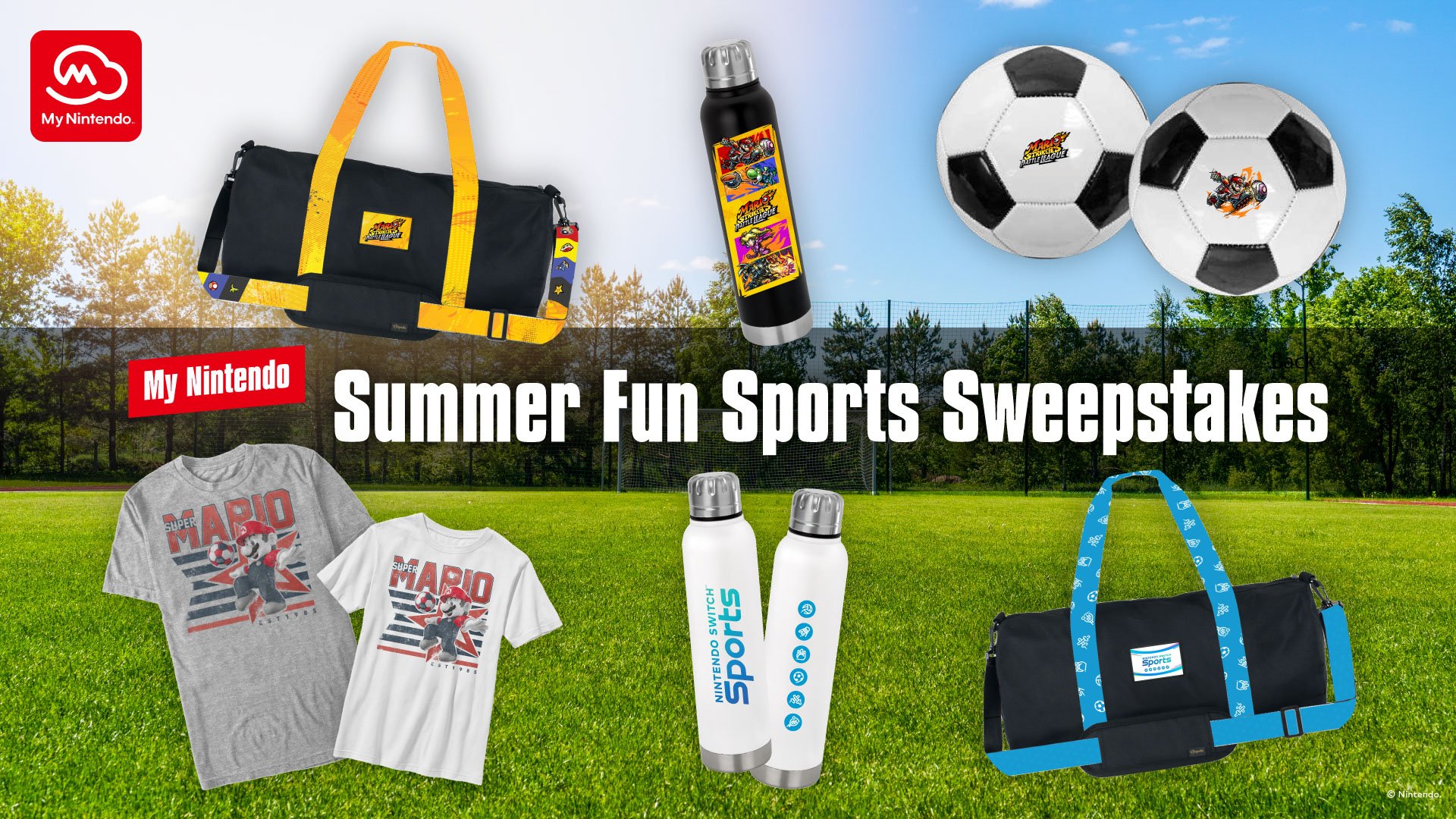 nss-giveaway.jpg