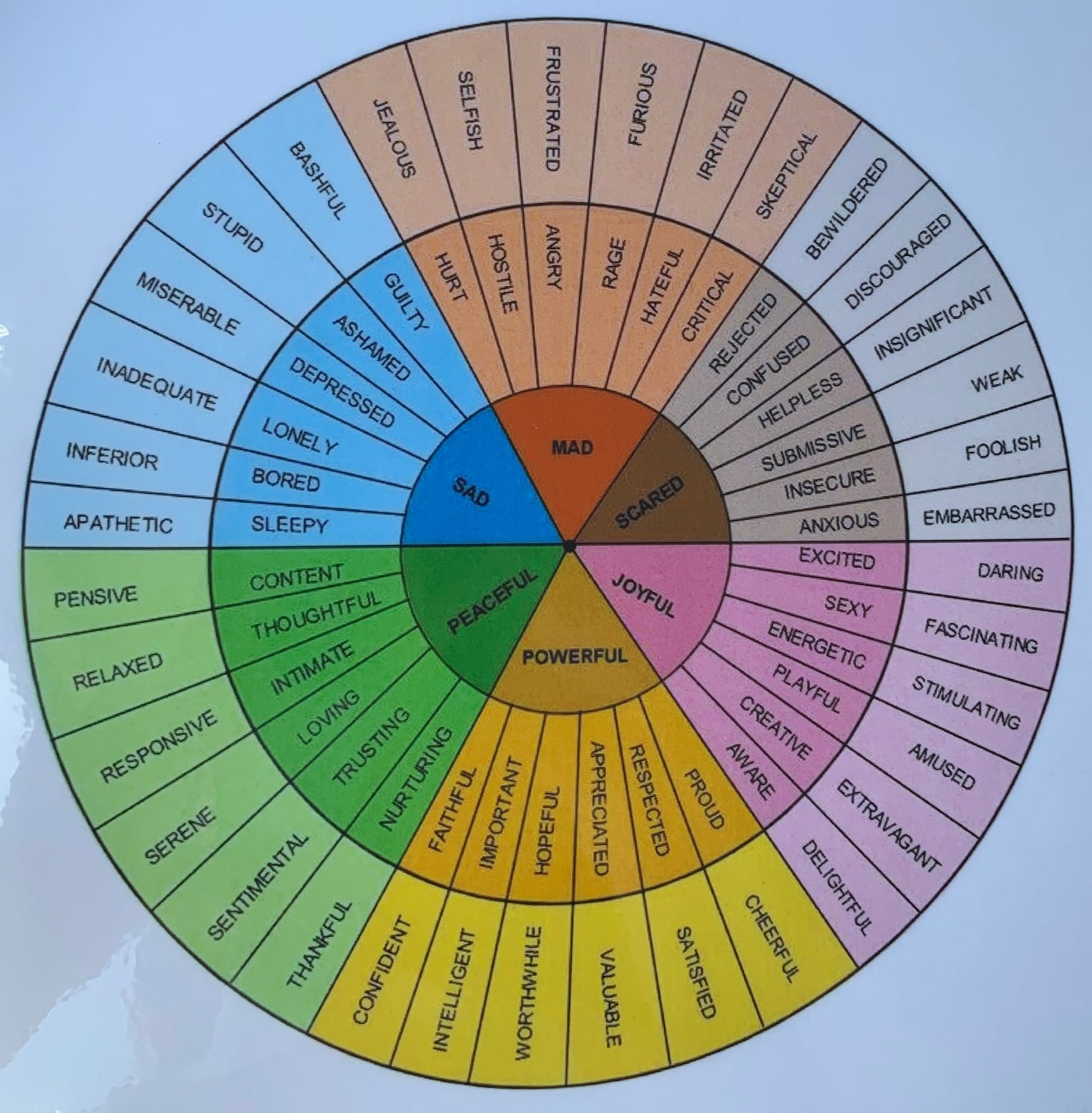 The Feelings Wheel is a powerful tool for building emotional awareness and expressing how you truly feel. Expanding your emotional vocabulary can help deepen self-understanding, improve communication, and support mental well-being. Next time you're u