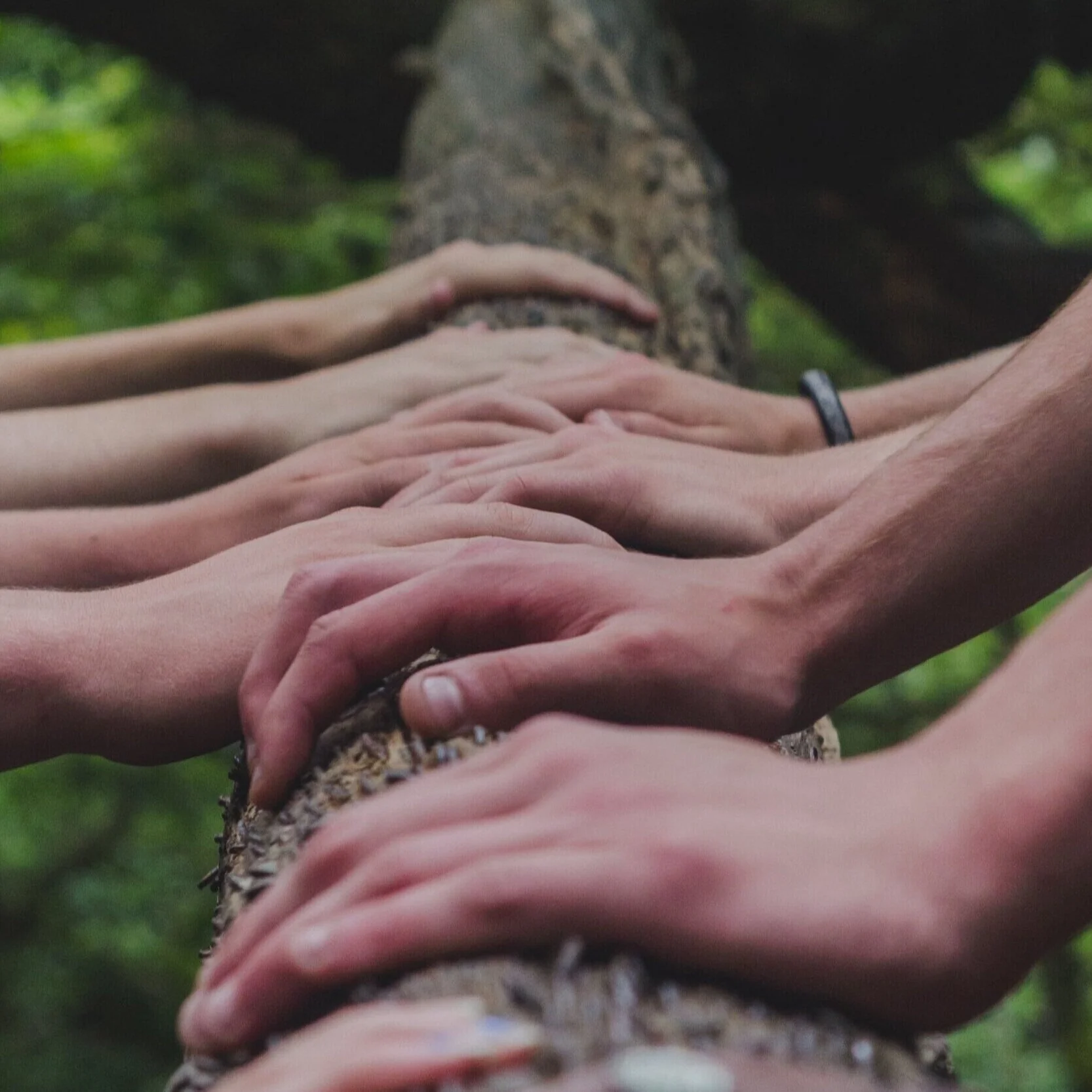 b.mindful Louisville, LLC