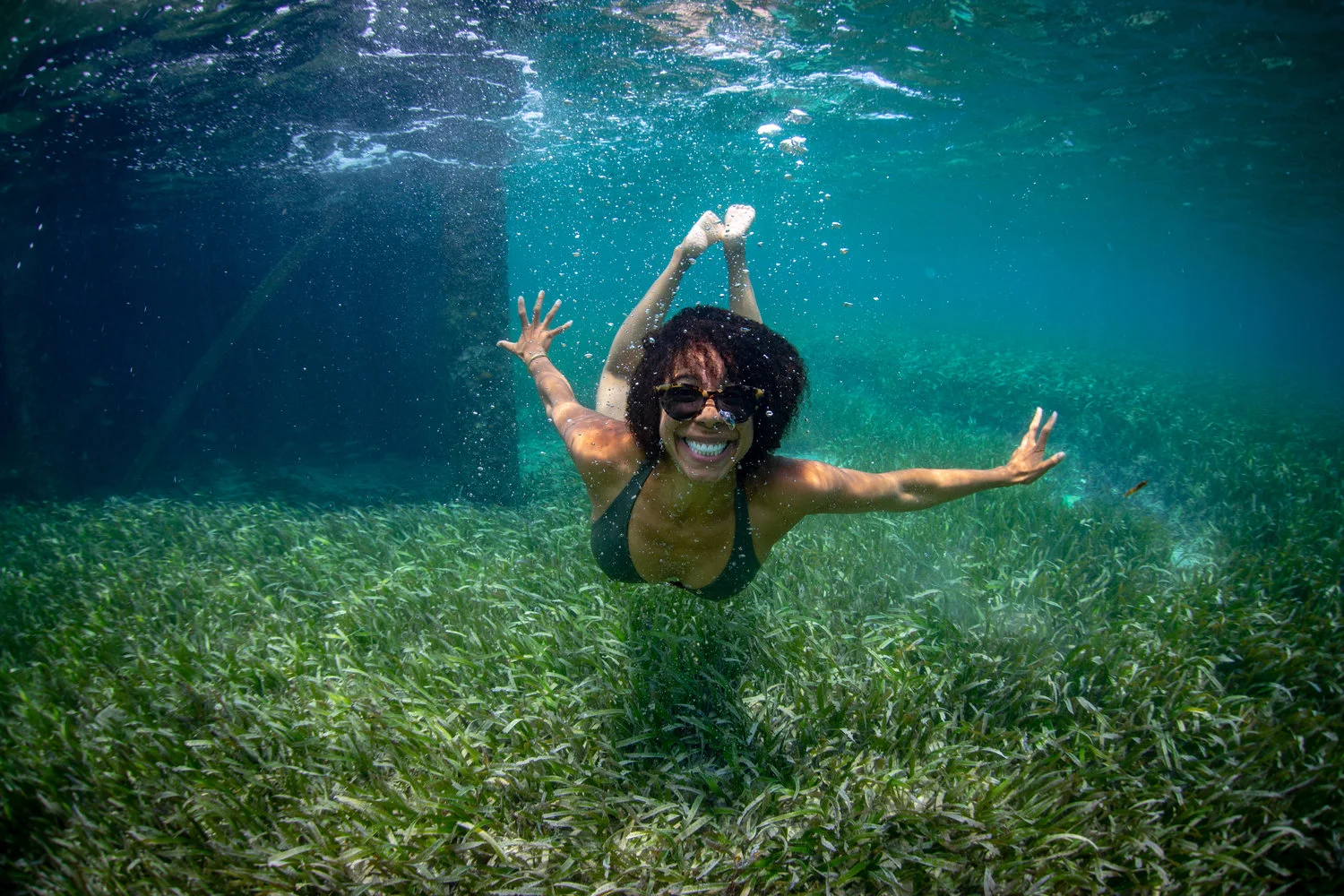 swimming+in+Jamaica's+seagrass+-+Jeremy+McKane.jpg