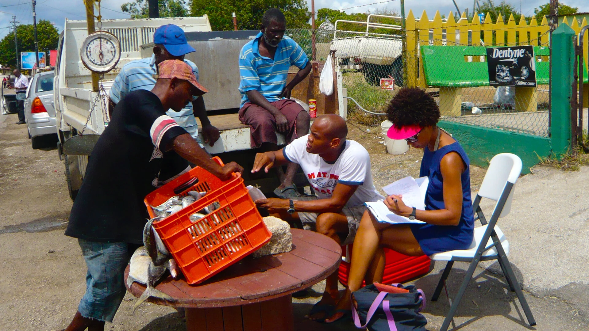 Interviewing fishermen on the roadside in Curaçao as they sell their catch.