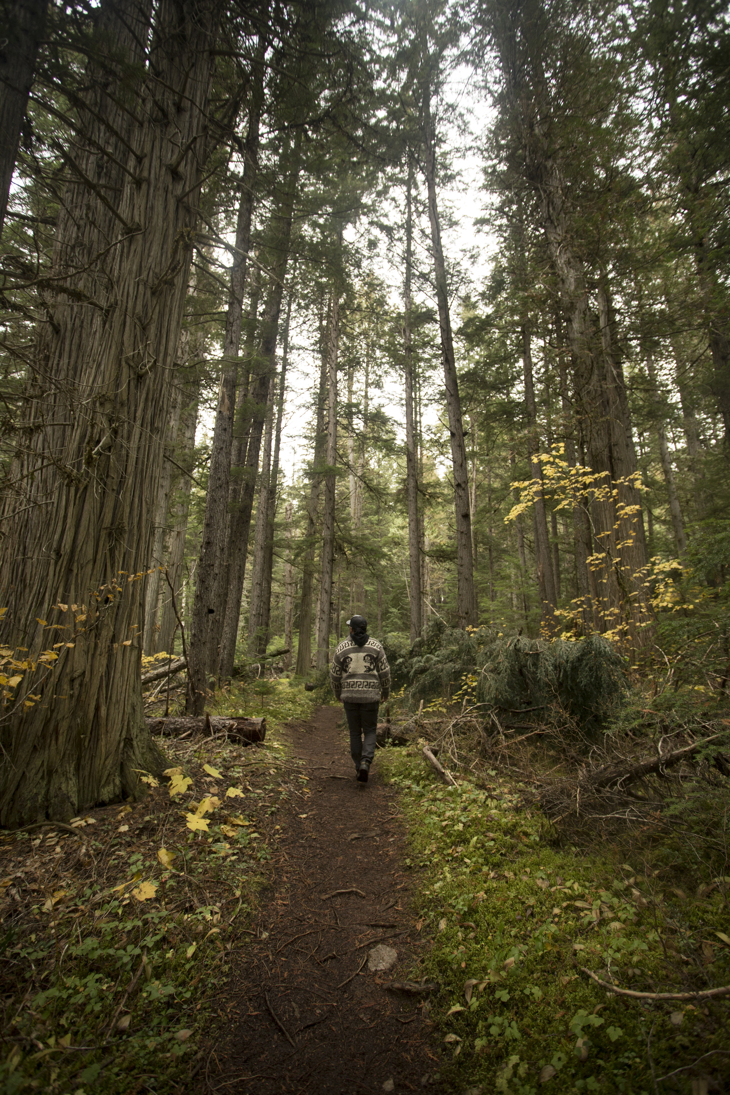 Wells Gray Park