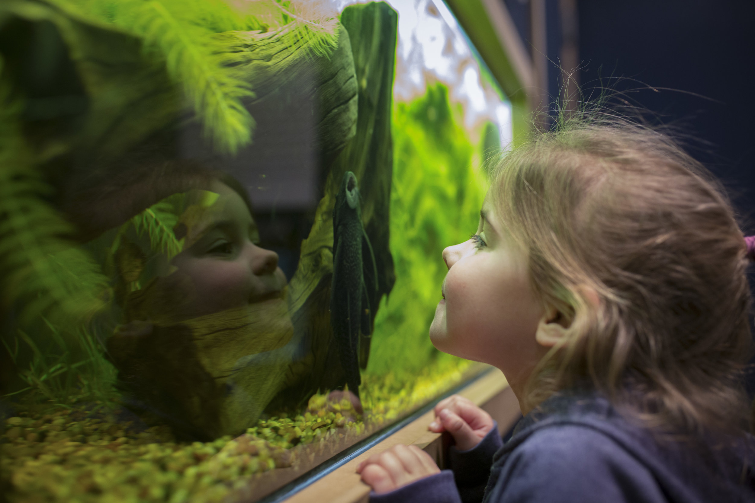 Okanagan Science Centre, Vernon