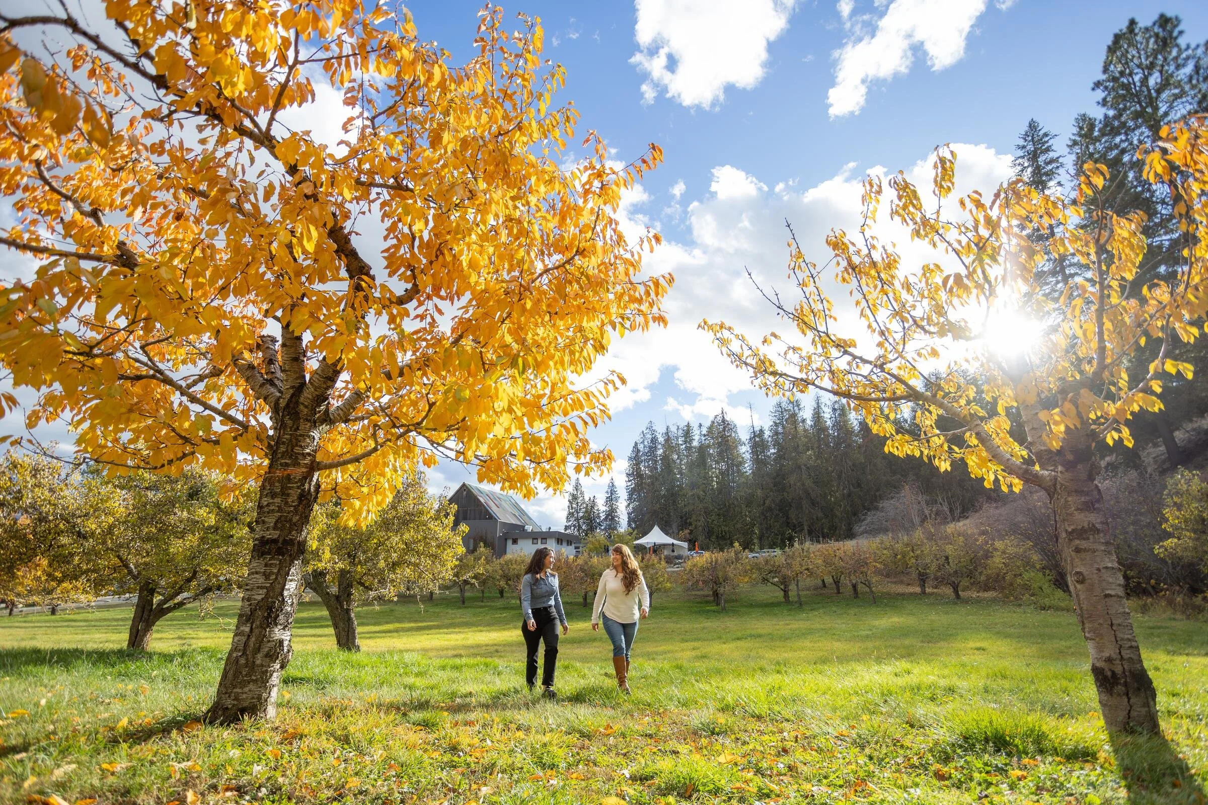North Okanagan 3 Day Itinerary
