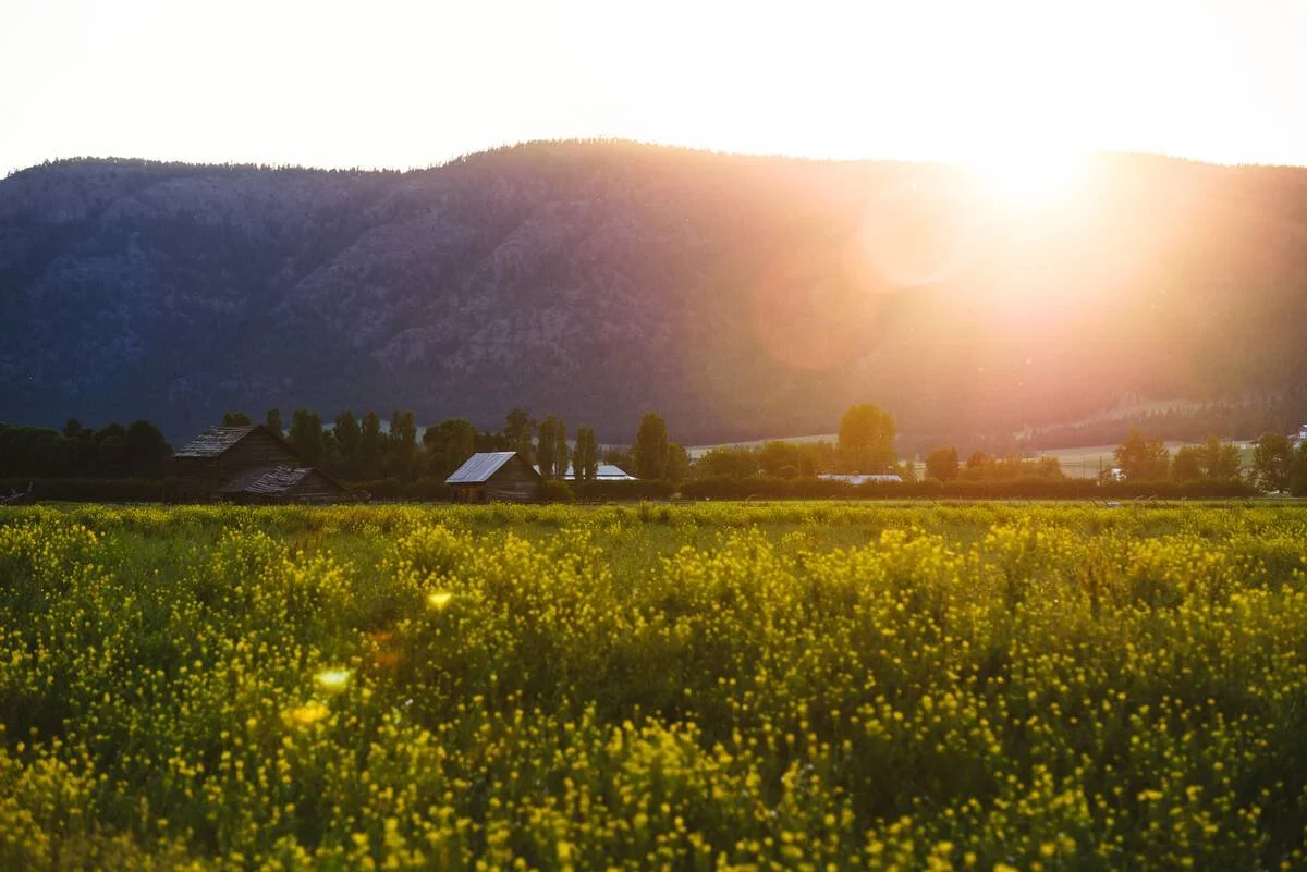 Sunset over farmland near Westwold