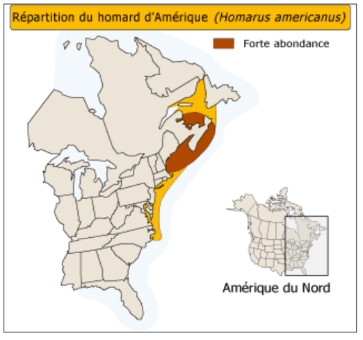 source: Observatoire global du St Laurent - 2013