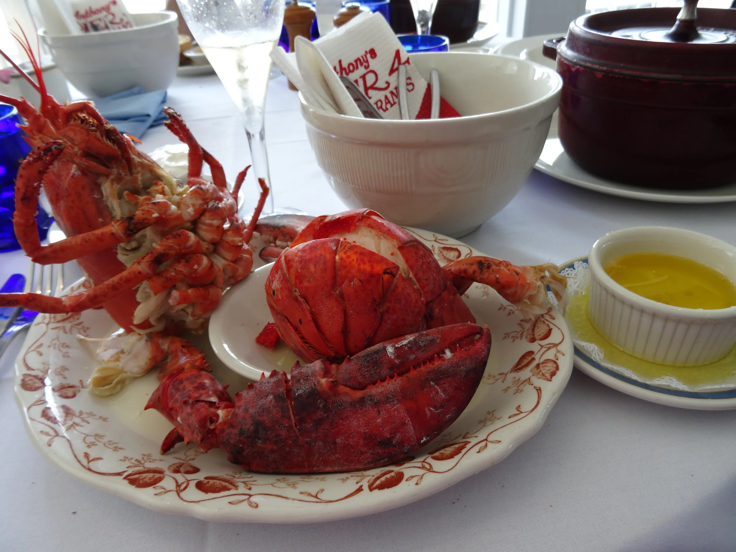 DSC02186.JPG.jpg