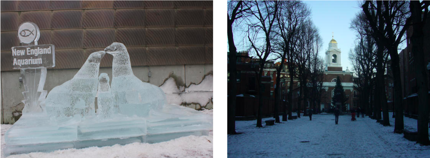 boston.png