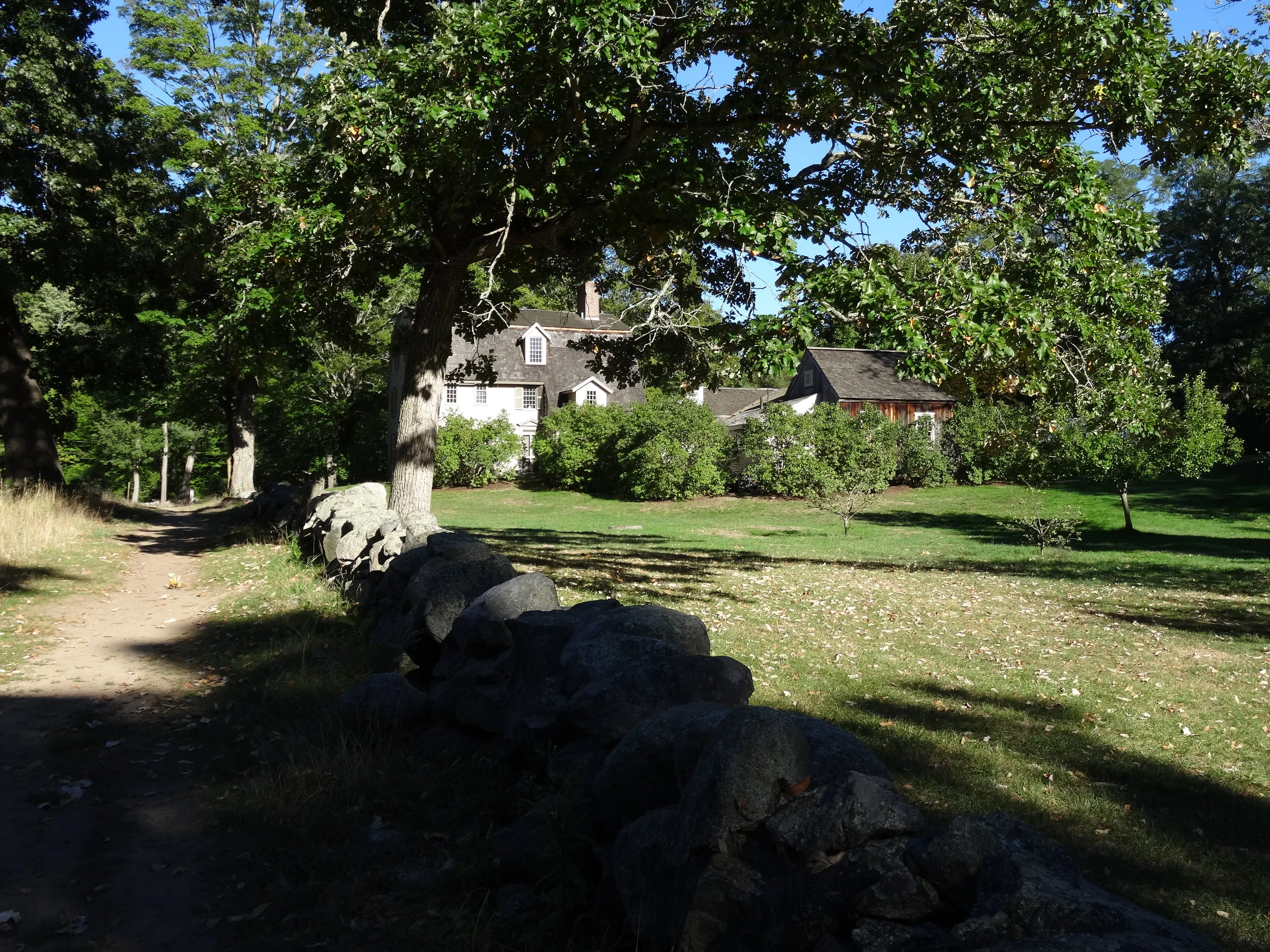 DSC02520.jpg