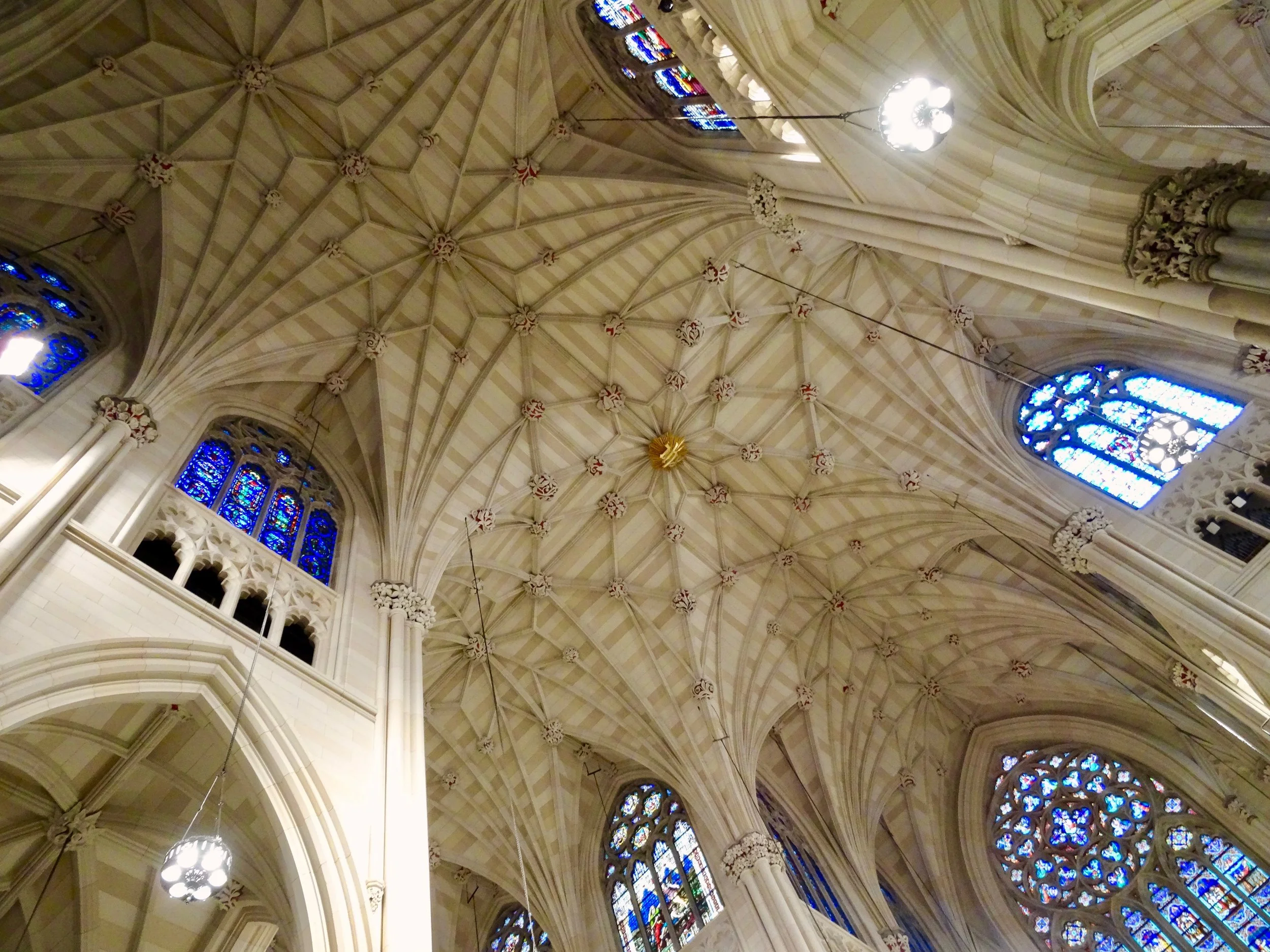 DSC03460.jpg