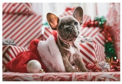Best Budgeting ways to Celebrate the Holidays