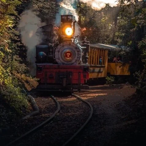 Stopping the Info Train Online