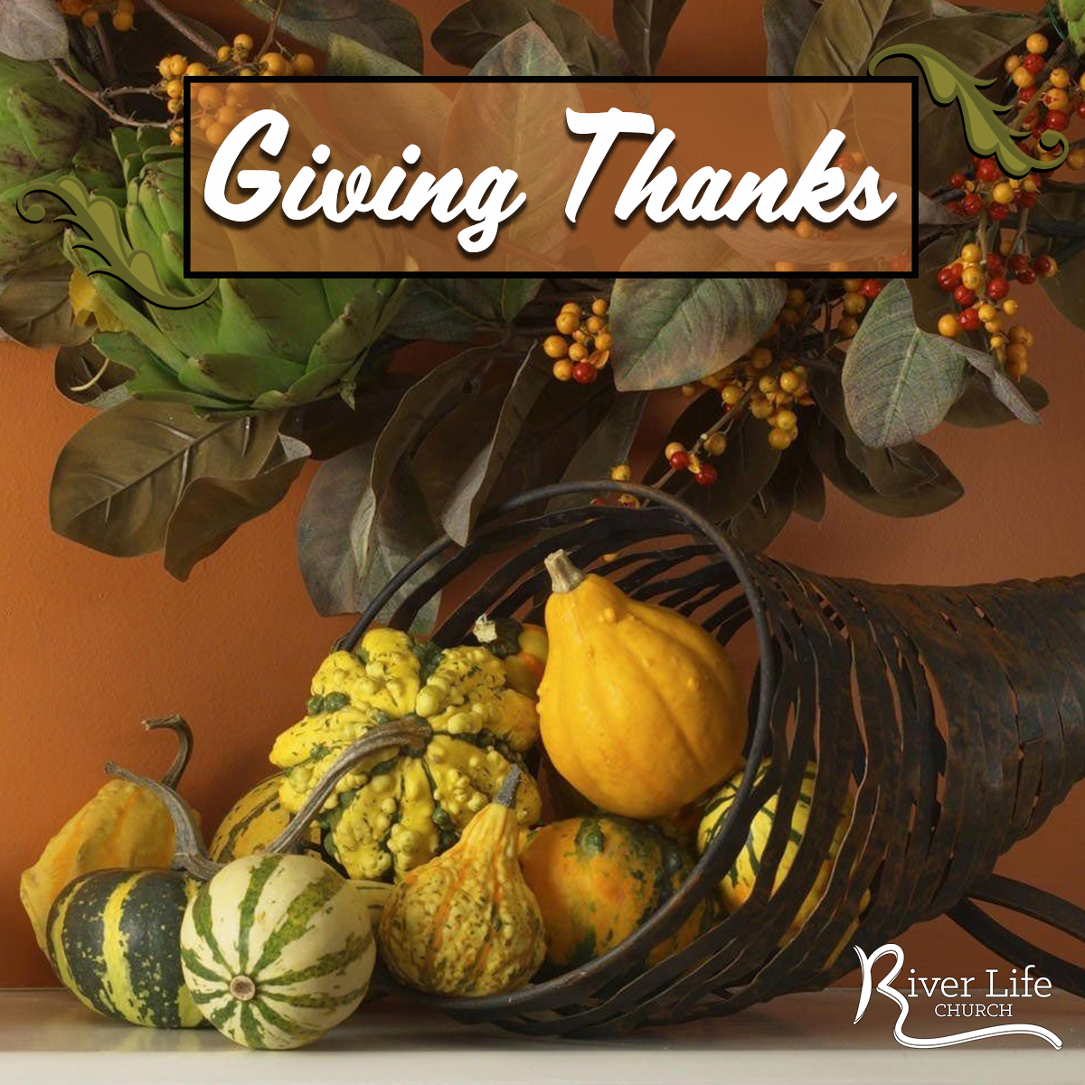 Giving Thanks Web.png