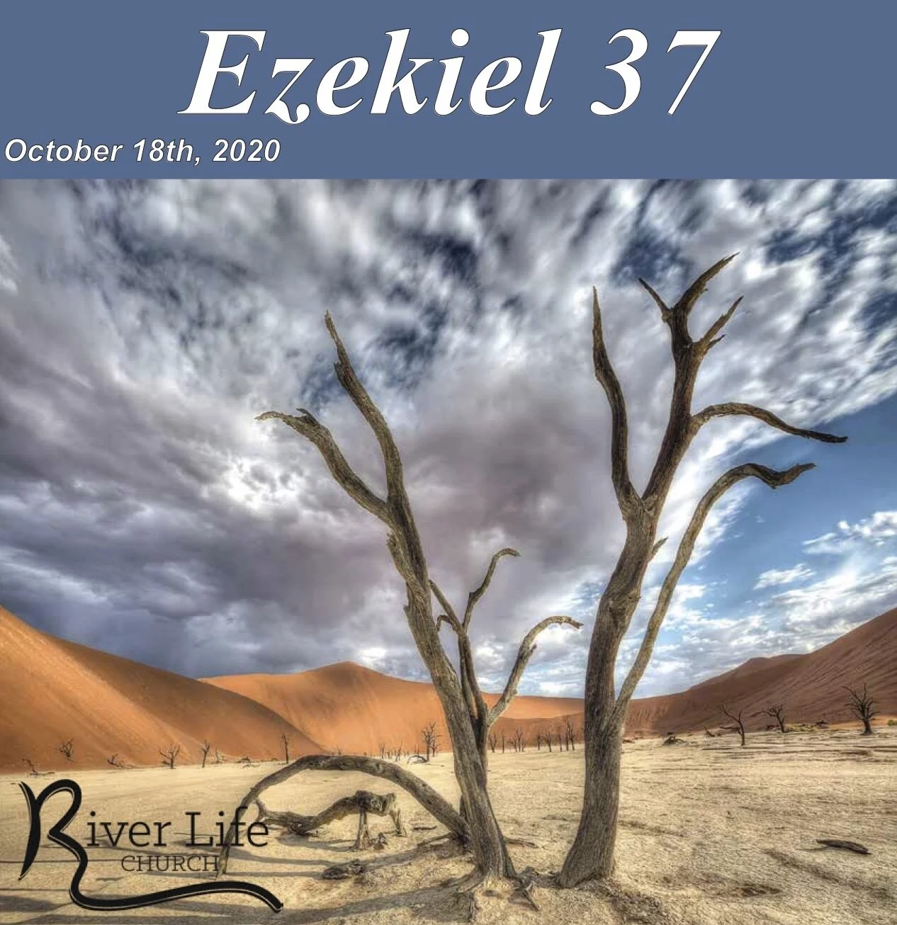 RLC Bulletin October 18th 2020 Email.jpg