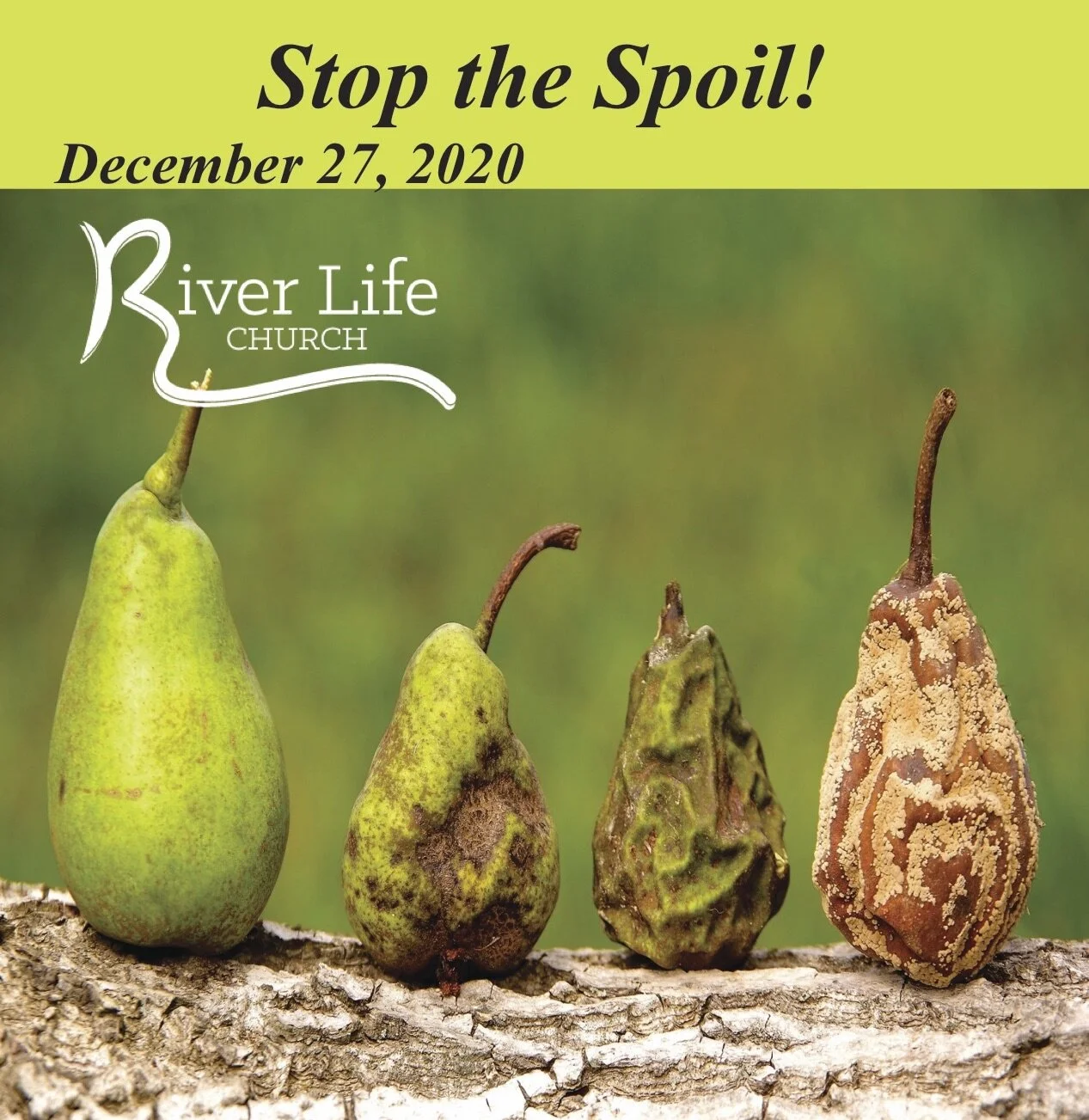 RLC Bulletin December 27 print.jpg