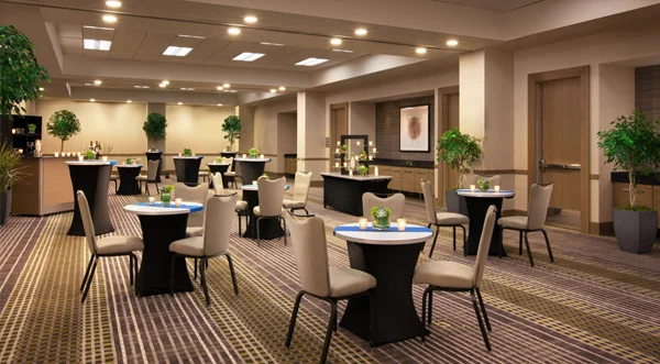 Westin 5.jpg