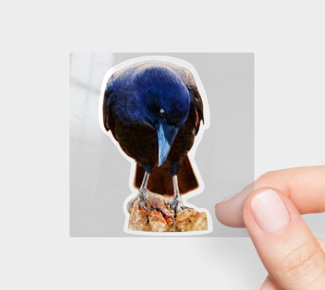 crow-sticker-no1-3x3.png