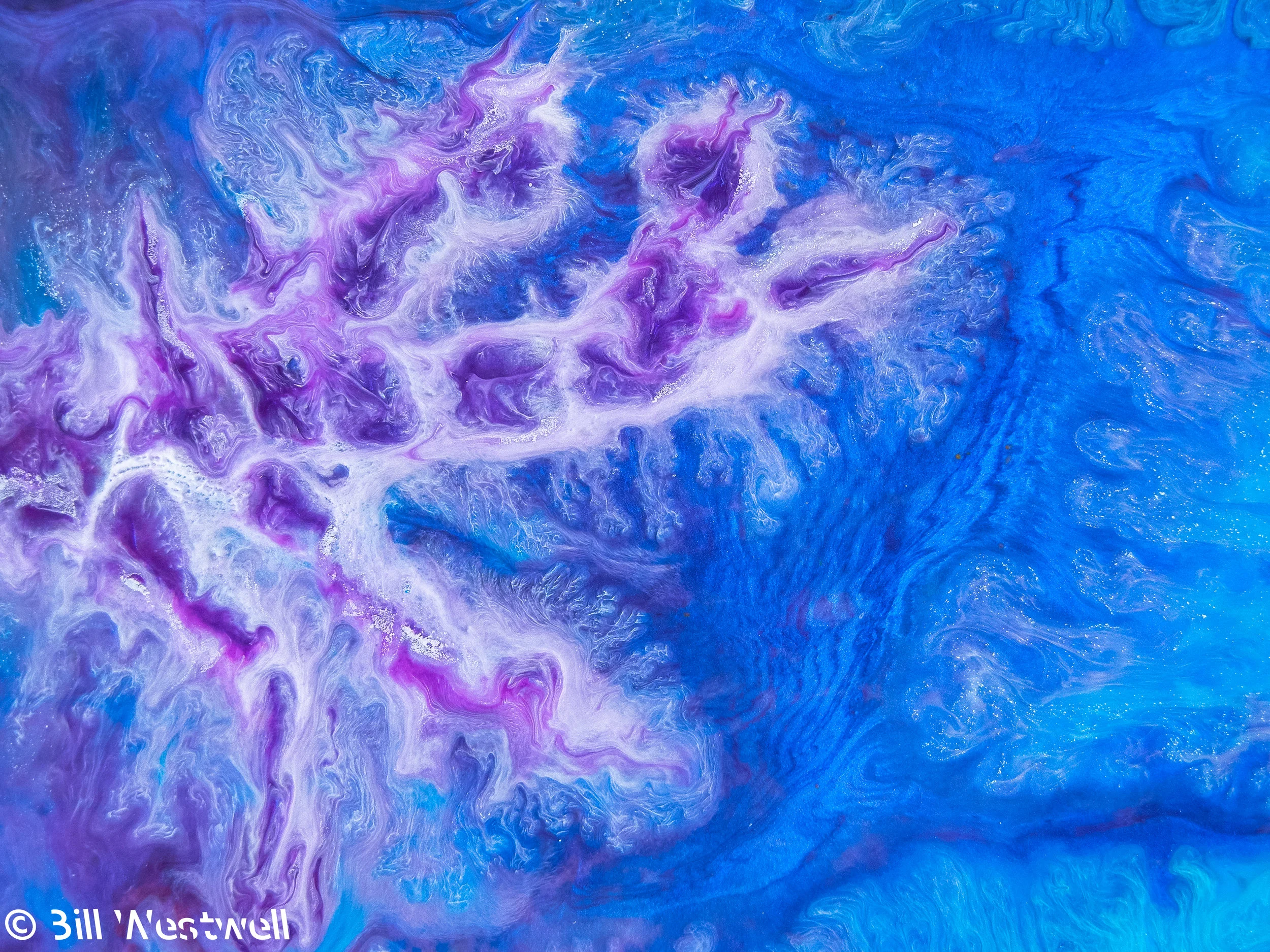 Interference dendrites 1-2.jpg