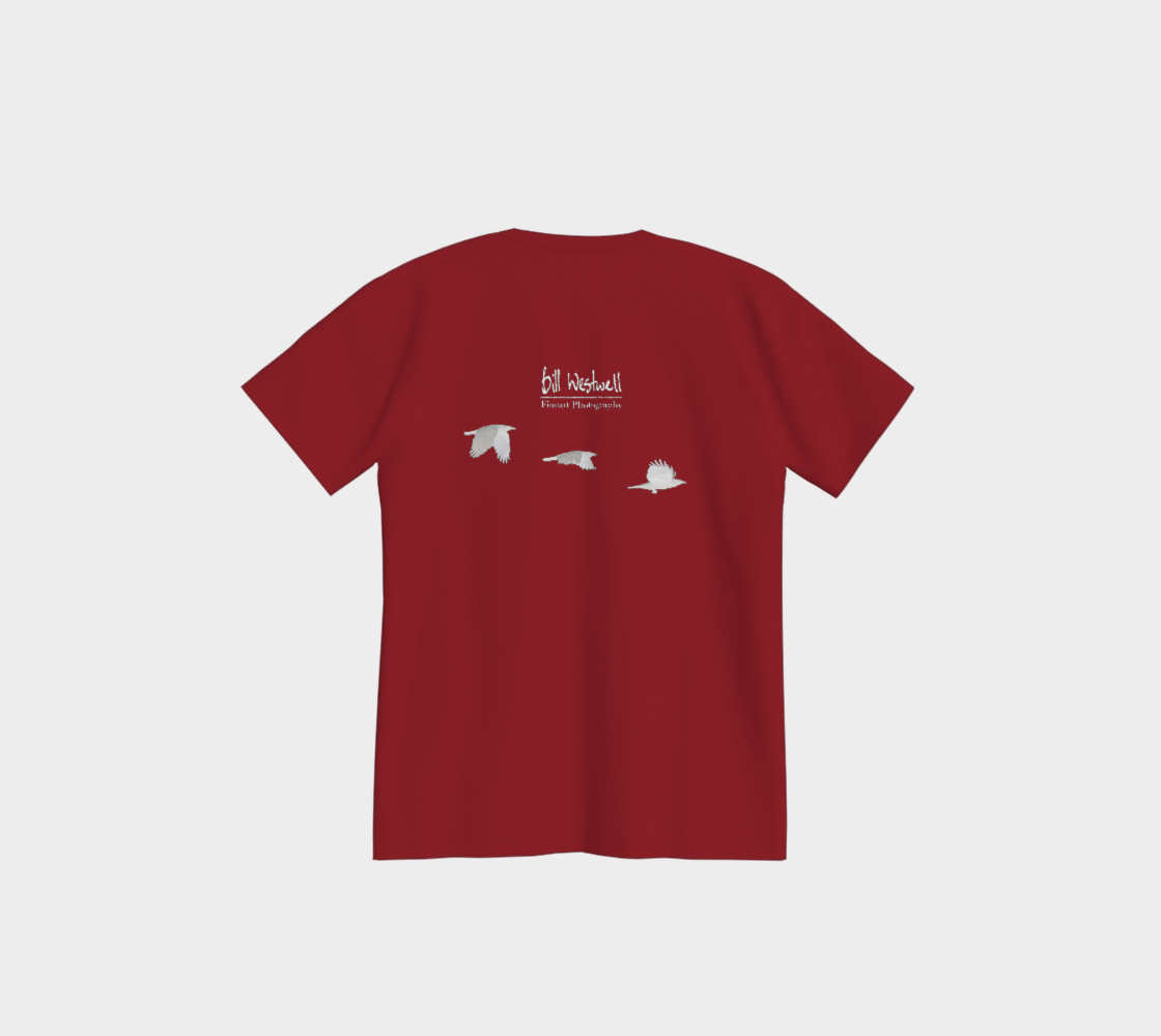 stream