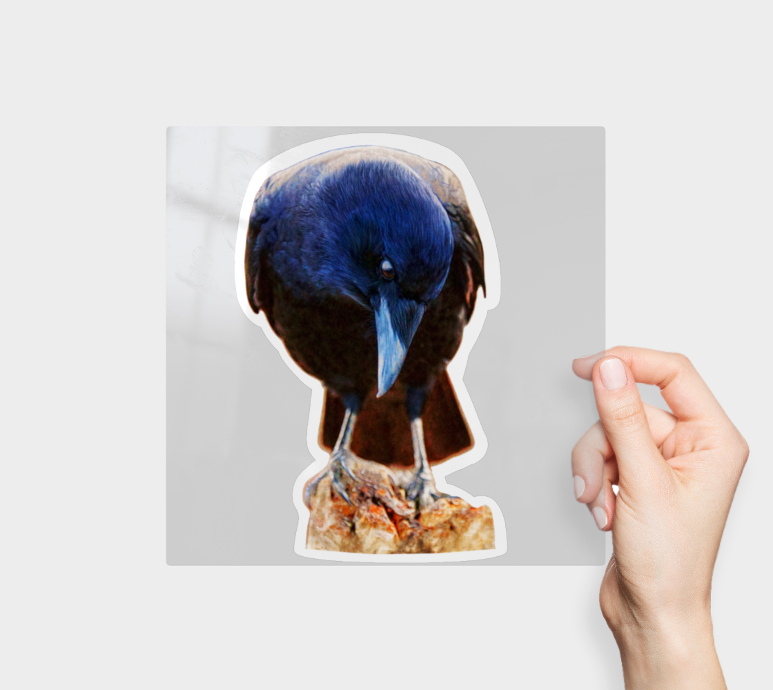 crow-sticker-no1-9x9.png